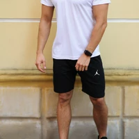 Мужской летний комплект шорты и футболка поло Jordan (Джордан)