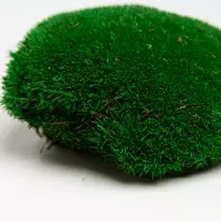 Стабилизированный мох Green Ecco Moss  кочка Натурально-зеленая - NATURAL GREEN - 1 кг